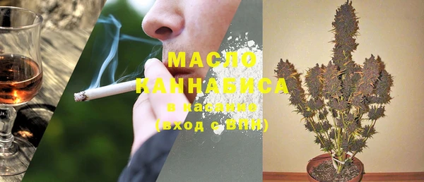 молекула духа Нягань
